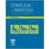 Tetraplegia And Paraplegia