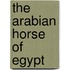The Arabian Horse Of Egypt