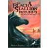 The Black Stallion Returns door Walter Farley