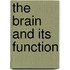 The Brain And Its Function