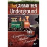 The Carmarthen Underground door Gaynor Madoc Leonard