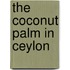 The Coconut Palm in Ceylon