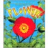 The Life Cycle Of A Flower