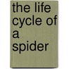 The Life Cycle Of A Spider door Kathryn Smithyman