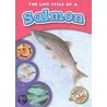 The Life Cycle of a Salmon by Colleen Sexton