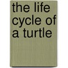 The Life Cycle of a Turtle by Colleen Sexton