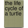 The Life Cycle of a Turtle door Colleen Sexton