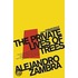 The Private Lives of Trees