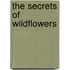The Secrets of Wildflowers