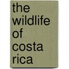 The Wildlife Of Costa Rica by Twan Leenders