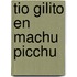 Tio Gilito en Machu Picchu