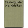 Trainerguide: Brandrisiken door Dirk Ehrlich