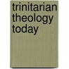Trinitarian Theology Today door Onbekend