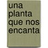 Una Planta Que Nos Encanta