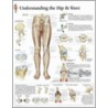 Understanding Hip And Knee door Authors Various
