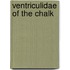 Ventriculidae of the Chalk