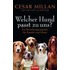 Welcher Hund passt zu uns?