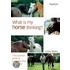 What Is My Horse Thinking?