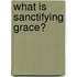 What Is Sanctifying Grace?