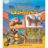 What Is A Biome? - Cd & Tp