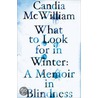 What To Look For In Winter door Candia McWilliam