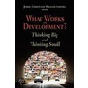 What Works in Development? door William R. Easterly