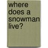Where Does A Snowman Live?
