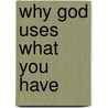 Why God Uses What You Have door Lanre Jegede