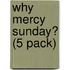 Why Mercy Sunday? (5 Pack)