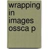 Wrapping In Images Ossca P door Alfred Gell
