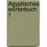 Ägyptisches Wörterbuch 1 door Rainer Hannig