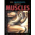 101 Questions about Muscles