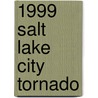 1999 Salt Lake City Tornado by Miriam T. Timpledon