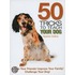 50 Tricks to Teach Your Dog
