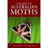 A Guide To Australian Moths