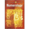 A Little Book Of Numerology door Vijaya Kumar
