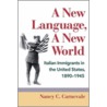A New Language, A New World door Nancy C. Carnevale