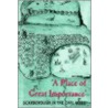 A Place Of Great Importance door Jack Binns