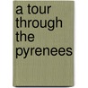 A Tour Through The Pyrenees door John Safford Fiske