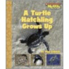 A Turtle Hatchling Grows Up door Pam Zollman