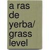 A ras de yerba/ Grass Level door Montero Gonzalez