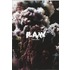RAW Among the Ruins