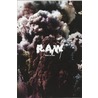 RAW Among the Ruins