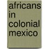 Africans In Colonial Mexico