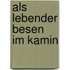 Als lebender Besen im Kamin door Elisabeth Wenger