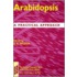Arabidopsis Irl Pas:c 223 C