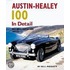 Austin-Healey 100 in Detail