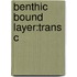 Benthic Bound Layer:trans C