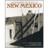 Bernard Plossu's New Mexico door Gilles Mora