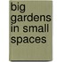 Big Gardens In Small Spaces
